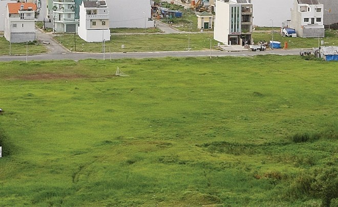 Mua dat nhay du: Cuoc choi mao hiem hinh anh