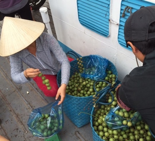 Nhà vườn ở thị xã Bình Minh đem dâu xanh bán cho các chợ ở Cần Thơ.