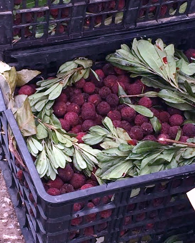 Mỗi thùng thanh mai 8 kg chỉ có giá 50.000-60.000 đồng.