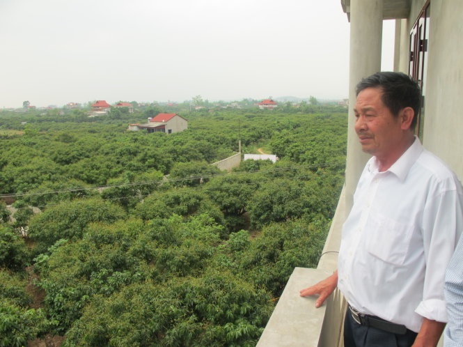 ng Phùng Trần Hoạt (thôn Kép 1, Hồng Giang, Lục Ngạn, Bắc Giang) chỉ vườn vải sắp thu hoạch nhưng vẫn lo giá vải năm nay sẽ không được 30.000đ/kg - mức giá nhiều người dân mong đợi.