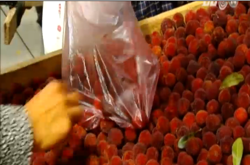 Truy tim xuat xu thuc su cua qua thanh mai hinh anh