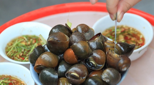 Co nen an oc khi mang thai? hinh anh