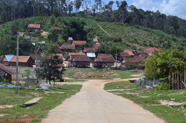 Da cap giua rung sau hinh anh