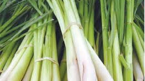 Cong dung tuyet voi cua tinh dau sa hinh anh