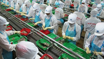 Khoc tren moi vuong tom, ao ca hinh anh