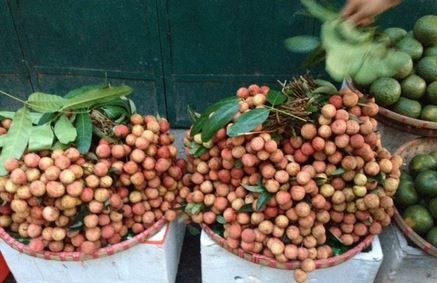 Vai thieu xin chua ve Ha Noi hinh anh