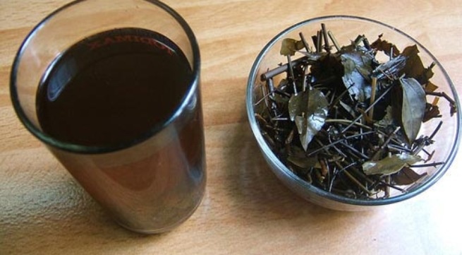 3 loai che chua benh ngay he hinh anh