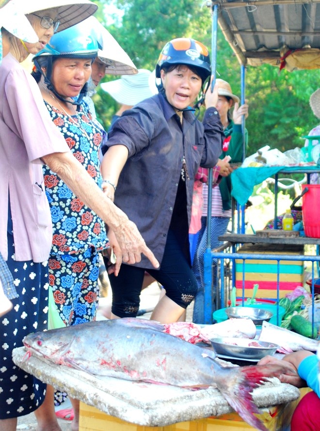 70 tấn cá thiều được thương lái thu gom, chỉ số ít được đem ra bán ở chợ.