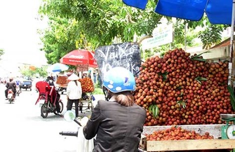 10 kg khoai khong mua duoc to pho hinh anh