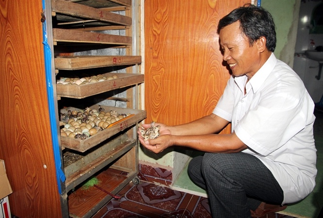 Xin tu quan de nuoi chim hinh anh