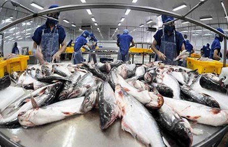 Tom, ca cung oan minh cong phi hinh anh