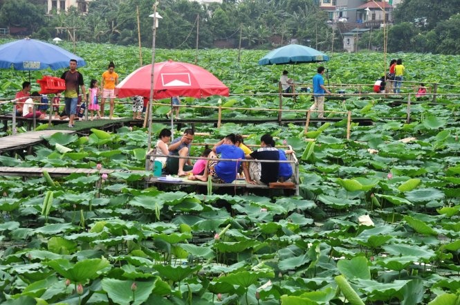 Nhon nhip quanh ho Tay, doanh thu bac trieu nho sen hinh anh