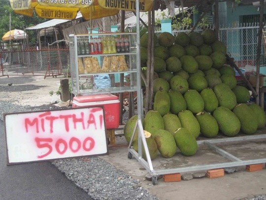 Giá mít Thái rớt thê thảm.