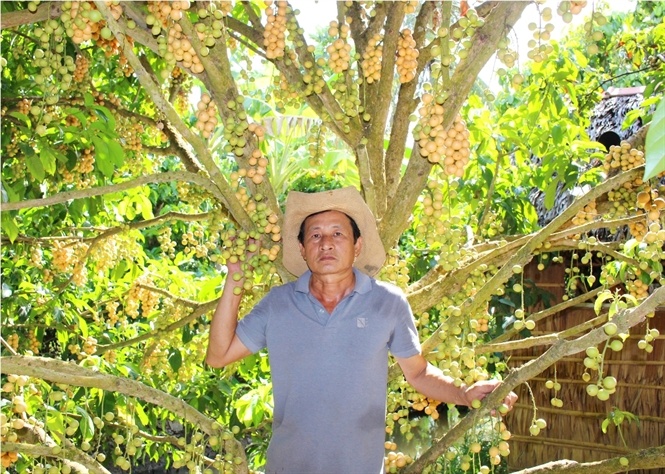 'Ty phu' dau Nga Bay hinh anh