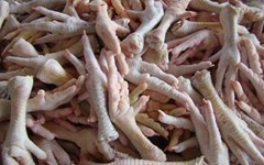 Tai sao chan, me ga… cung phai nhap? hinh anh