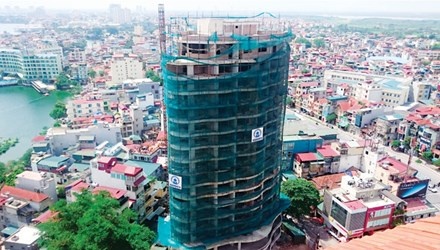 Cao oc bo hoang tren dat vang thu do hinh anh