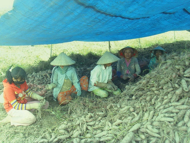 Thuong lai 'long hanh' o Viet Nam, Trung Quoc noi gi? hinh anh