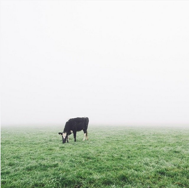 Đặc biệt là các tấm ảnh phong cảnh ông chụp khi đi du lịch.