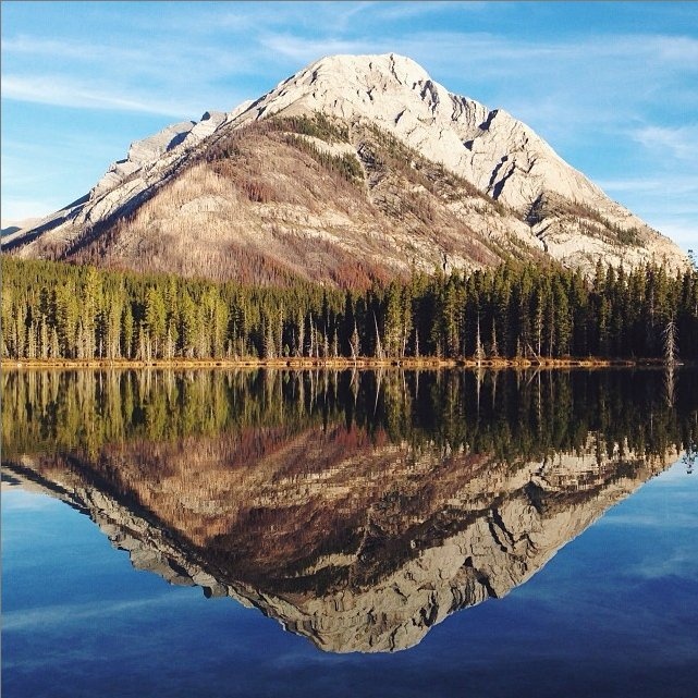 Sau khi chạm mốc 100.000 người theo dõi, các công ty và nhãn hàng bắt đầu tiếp cận Roos. Họ muốn hợp tác cùng ông trong các chiến dịch trực tuyến.