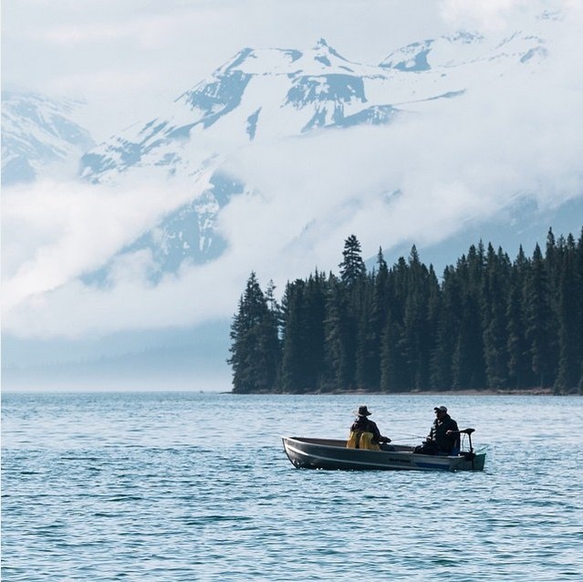 Chẳng hạn, Samsung bắt tay với Roos trong chiến dịch quảng bá máy ảnh NX1.