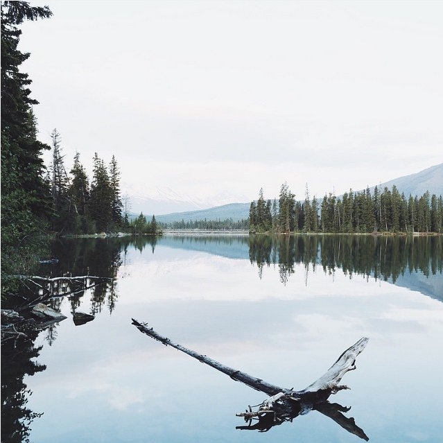 Đó là lúc Roos quyết định nghỉ việc ở IBM để toàn tâm toàn ý cho nhiếp ảnh. “Tôi chưa từng hối tiếc về quyết định này”, ông chia sẻ.