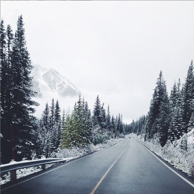 Roos hướng dẫn mọi người cách chụp ảnh đẹp hơn bằng smartphone và các nhãn hàng có thể dùng Instagram cho chiến dịch tiếp thị như thế nào.