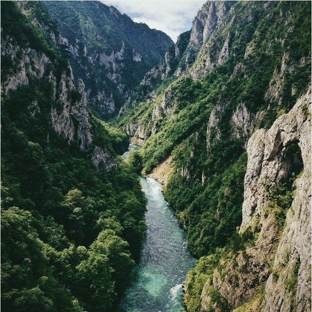 Roos đặc biệt nổi tiếng tại Hà Lan, thậm chí còn được lên trang bìa tạp chí.