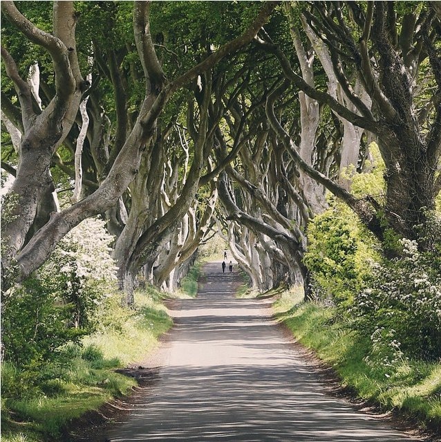 Ông tiết lộ nguồn thu nhập chính là các chiến dịch Instagram làm cùng với các thương hiệu và đại lý du lịch.