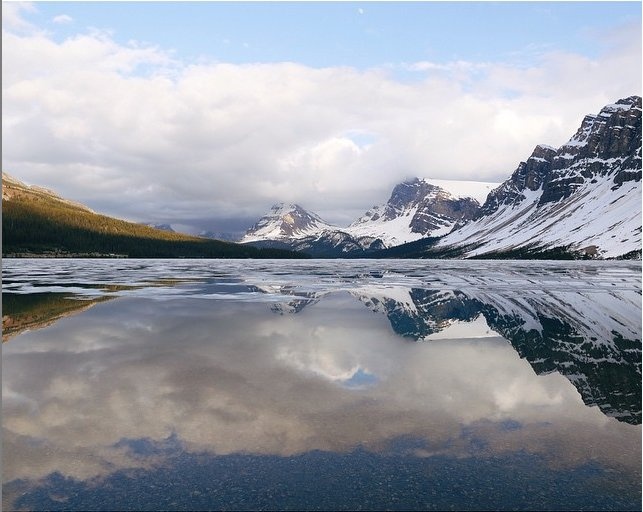 “Đó là giấc mơ đã trở thành sự thật”, Roos nói.