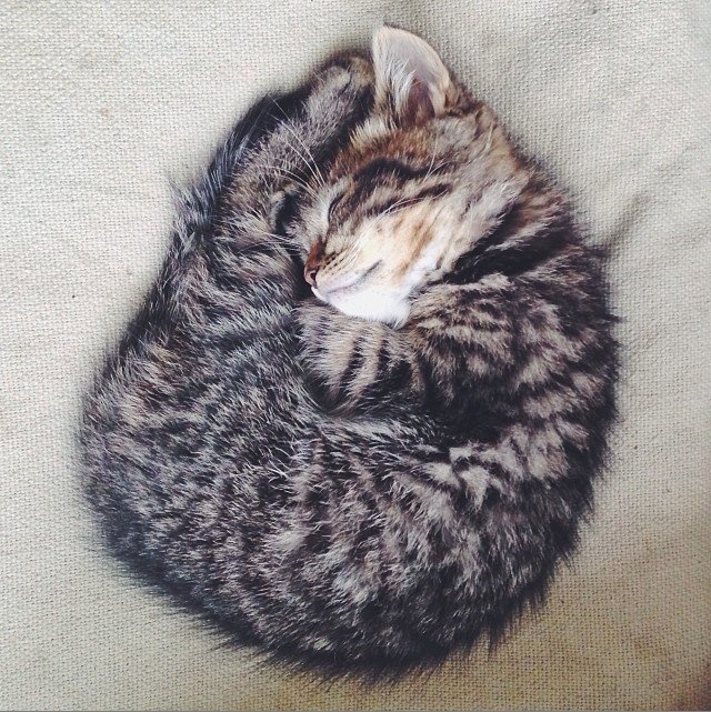 ng kể rằng “làm việc trong lĩnh vực CNTT chưa bao giờ là nghề nghiệp trong mơ” của mình. “Nhiếp ảnh luôn là niềm đam mê lớn của tôi, một hình thức biểu đạt đầy sáng tạo”.