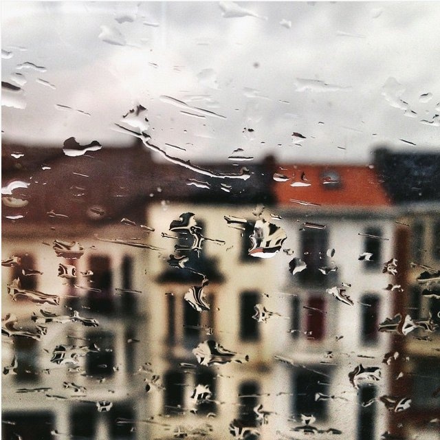 Có lẽ vì sống ở Amsterdam, ảnh của Roos nổi bật hơn so với đám đông.