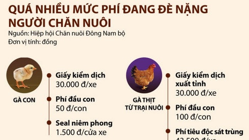 Nganh thu y co qua nhieu loai phi hinh anh