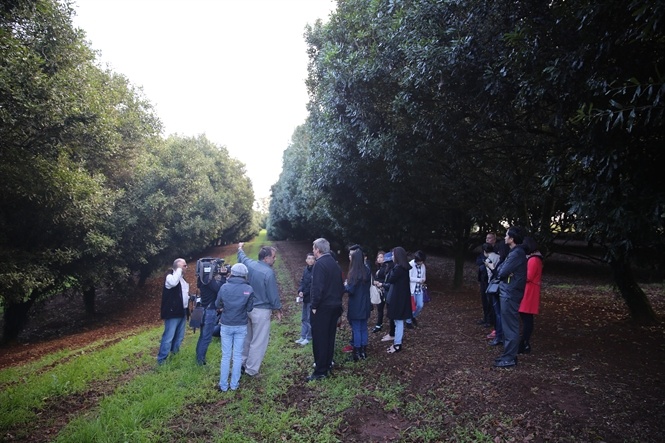 Sang Uc xem mac ca: Gioi han cua su chuyen nghiep hinh anh