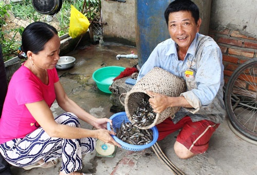 Ca coi xuat ngoai hinh anh