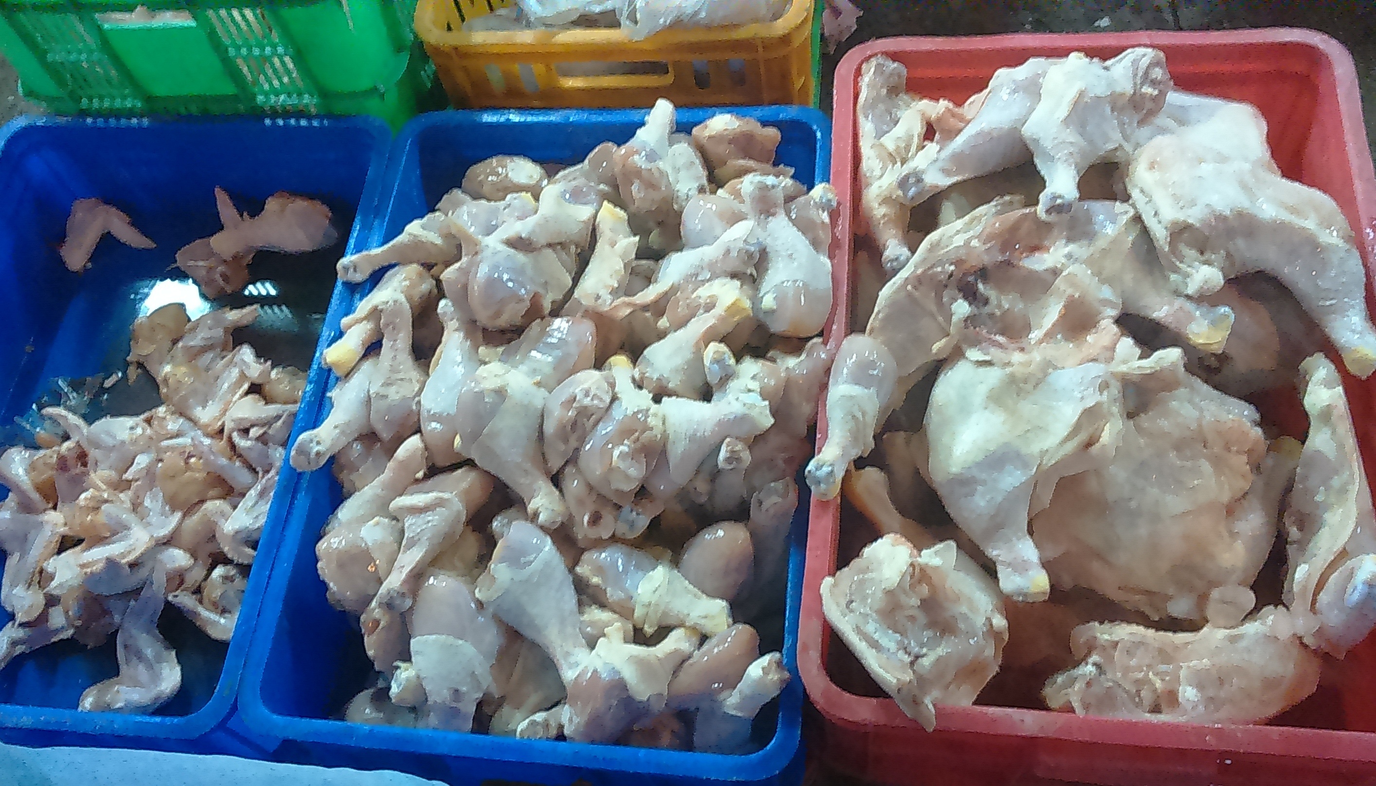 Ga dong lanh nhap khau gia… 20.000 dong/kg hinh anh