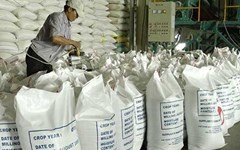 Xuat khau gao sang Trung Quoc nhu danh bac hinh anh