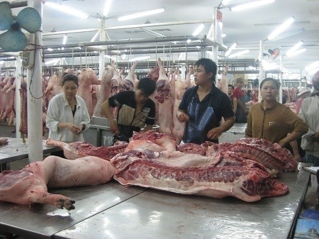 Nhieu nguoi Viet dang an de… chet hinh anh