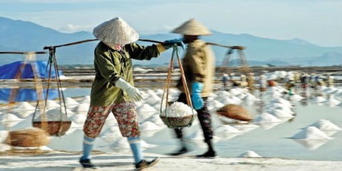 Ban 30 can muoi moi du mua 1 can gao loai re nhat hinh anh