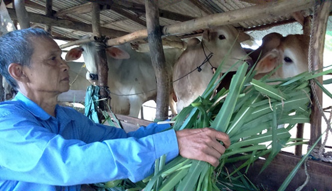 'Ep' nong dan vay voi lai suat khung hinh anh