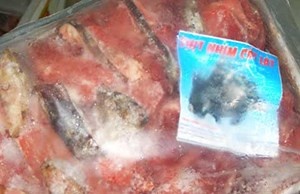 Thịt nhím giả đựng trong bao bì không ghi rõ xuất xứ.