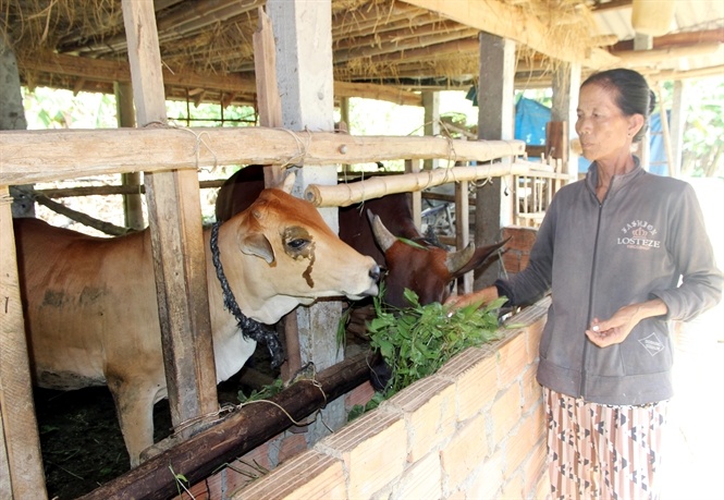 Om no vi ban bo, cam so do trong dua hau hinh anh