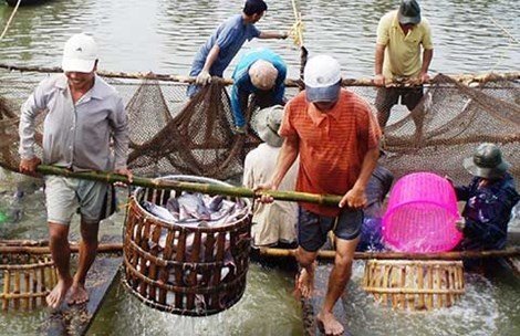 Lai treo ao, ban trang trai vi lo nang hinh anh