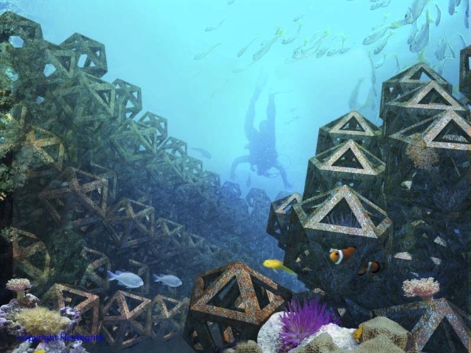 Nghe ca Nhat Ban: Lam nha cho ca bien hinh anh