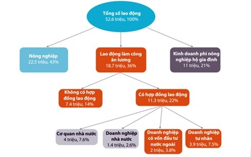 Phân bố lao động Việt Nam.