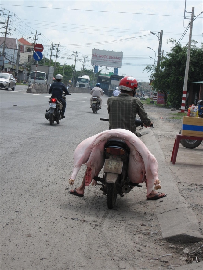 Vận chuyển công khai nguyên con heo giết mổ ngay trên đường quốc lộ 1A khu vực giáp ranh giữa TPHCM và Long An... Đọc thêm tại: http://nongnghiep.vn/ho-bien-thit-ban-thanh-bo-vien-dac-san-post146736.html | NongNghiep.vn