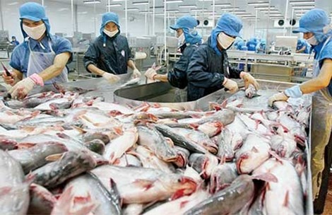 Mat 60 trieu USD vi khong hieu luat My hinh anh