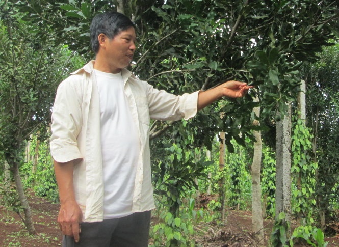 Trai mac ca khong biet tieu thu o dau hinh anh