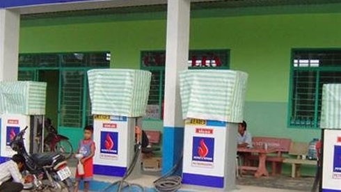 Hang loat cay xang khong ban dau lua hinh anh