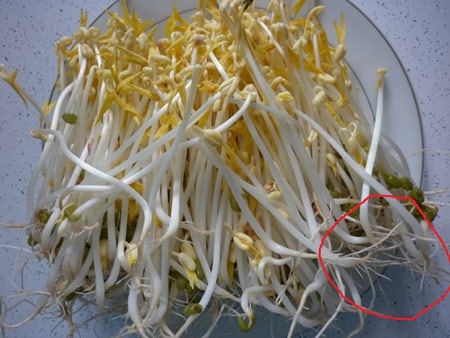 Nhung dieu can tranh khi an gia do hinh anh