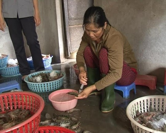 Bom tap chat la vao tom su, ban cho trung tam tiec cuoi hinh anh